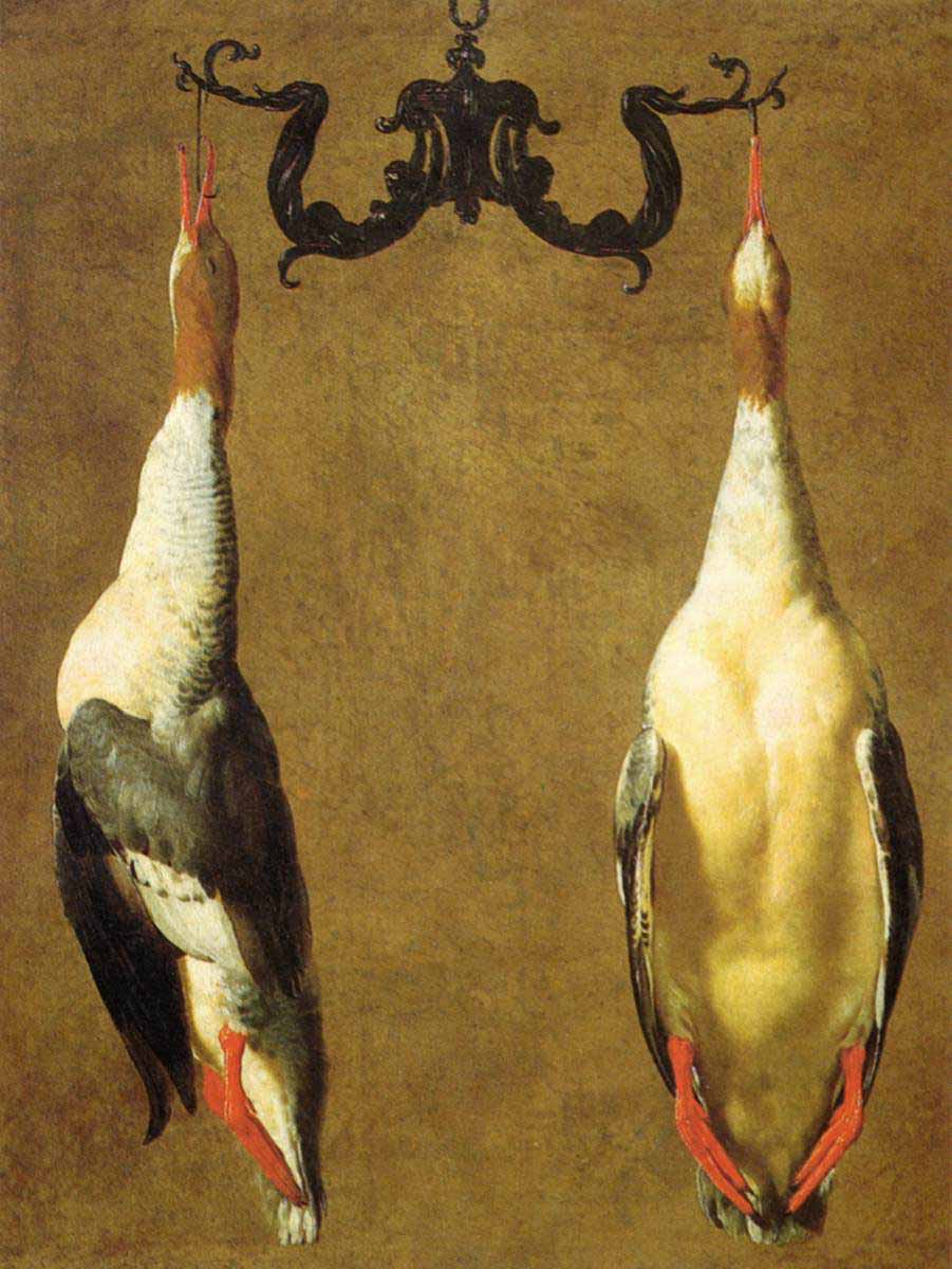 Two Hanged Teals